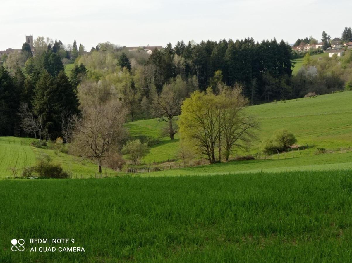 L'eclat De Menthe *
