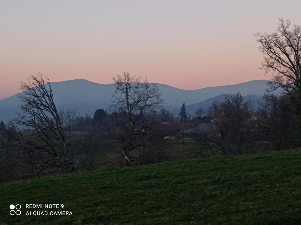 L'eclat De Menthe * Augerolles